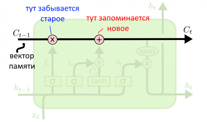 Удаление вектора из памяти c