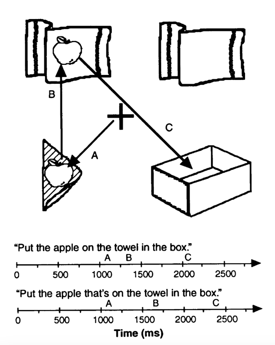 Пример расположения предметов из эксперимента Таненхауса.
На оси времени отражена скорость движения взгляда испытуемого при прослушивании двух предложений: неоднозначного («Положи яблоко на полотенце в коробку») и однозначного («Положи яблоко, которое на полотенце, в коробку»).
Источник: Tanenhaus et al. 1995 [2]