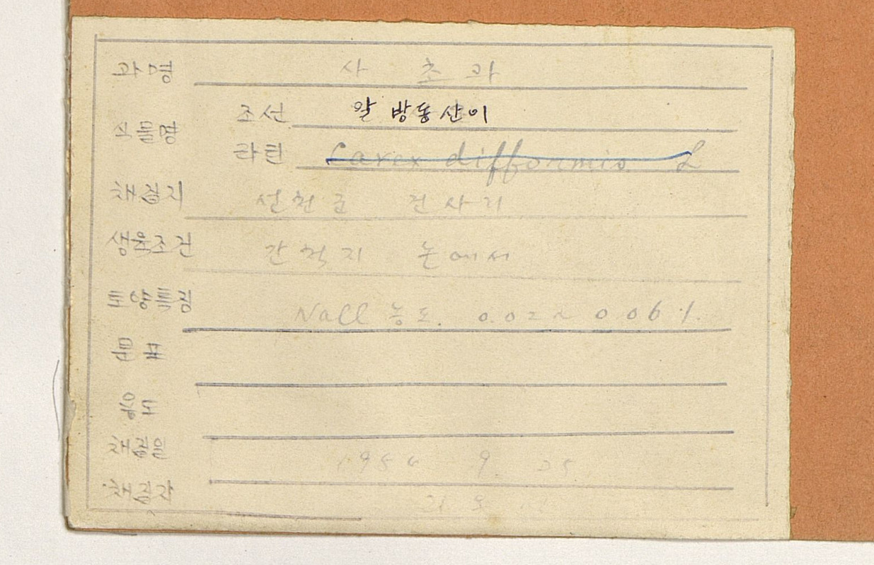 Фрагмент образца MW0751598, присланного из КНДР, с этикеткой на корейском языке