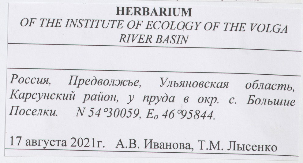 Фрагмент образцов MW1061575 (слева) и MW1055239 (справа), присланных из Тольятти, со сбитым форматом координат