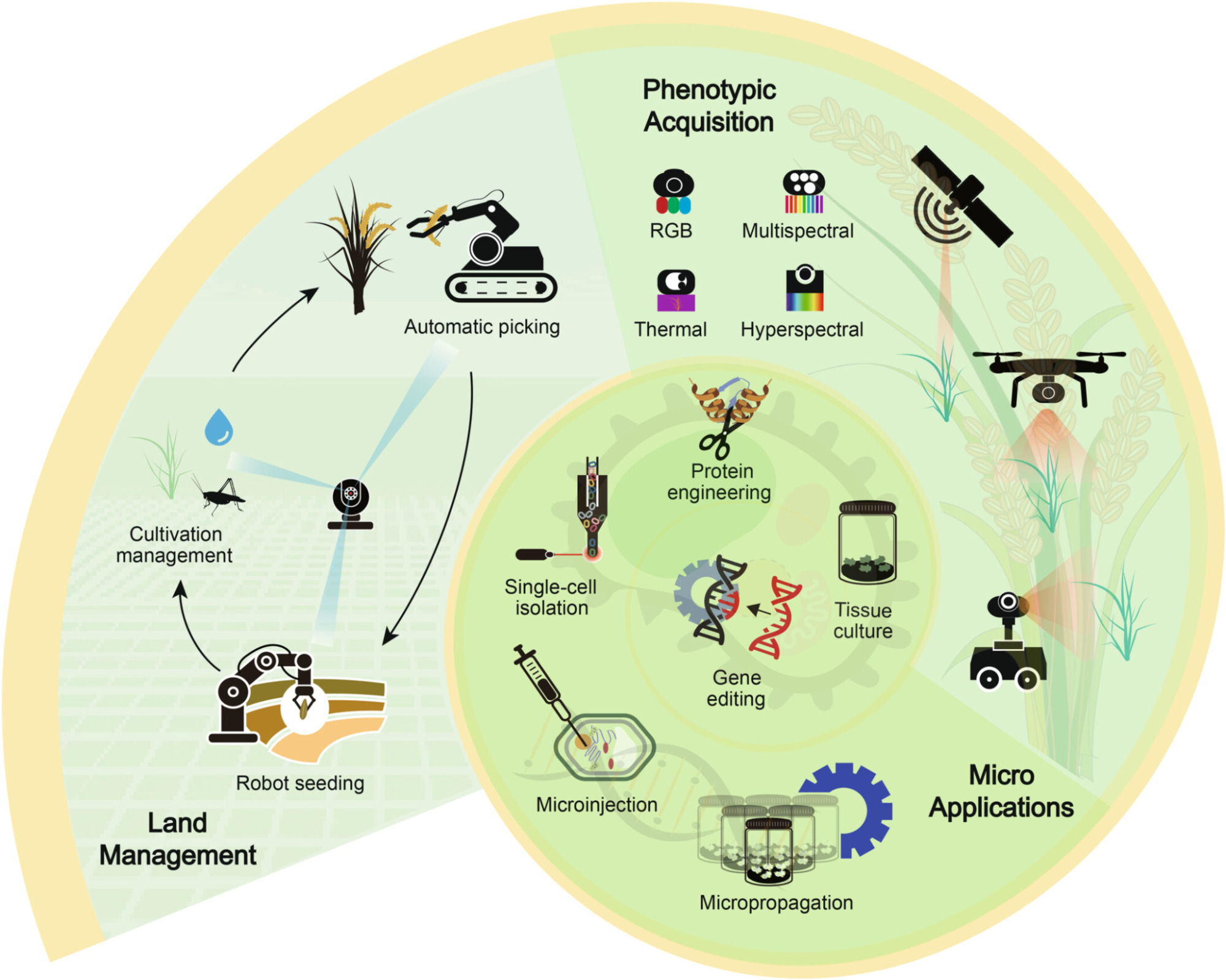 Роботизация в селекции: сквозная интеграция от молекулярного уровня до полевых систем