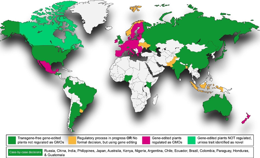 Современное состояние регулирования технологий редактирования генома и полученных с их помощью организмов в мире