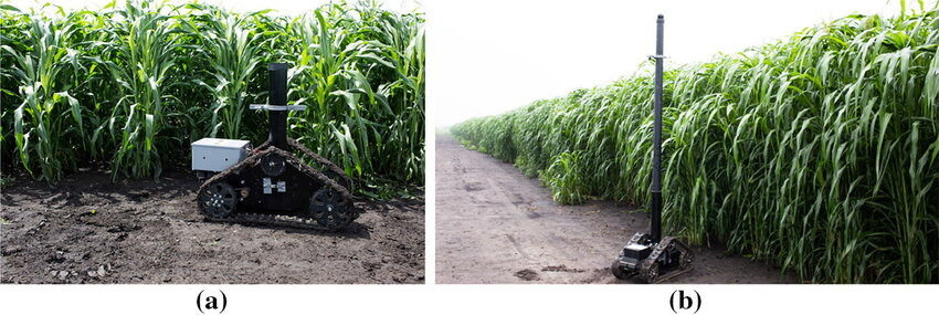 Платформа для фенотипирования TERRA-MEPP в полевых условиях: a — с короткой мачтой для съемки растений на ранних этапах вегетации; b — с полностью выдвинутой мачтой для измерения высоты высокорослого сорго