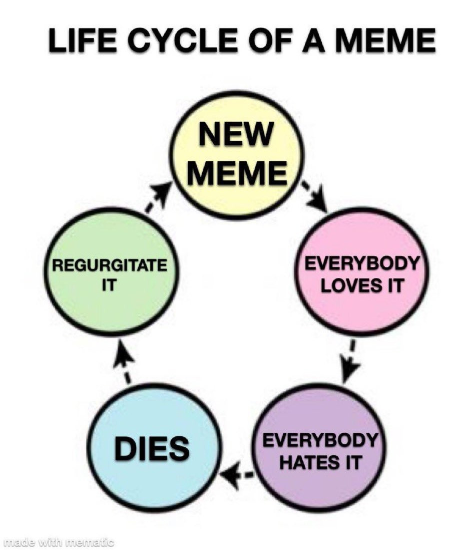 Стадии жизни мема