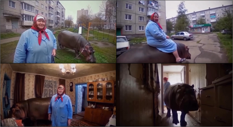 Бабушка с бегемотом Булькой